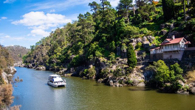 Launceston: 4-Hour Batman Bridge Luncheon Cruise