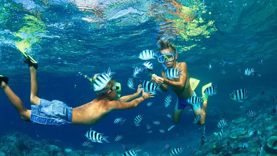 Featured tour with 8 reviews: 1-day tour to Hon Mun + Dongtan Island + Hon Tam Island/Hon Mieu three islands in Nha Trang [comfortable speedboating]