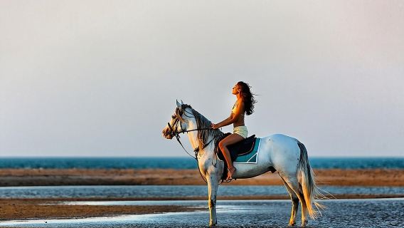 Horse Riding Tour 2 Hours Sea And Desert with Transfer - Hurghada
