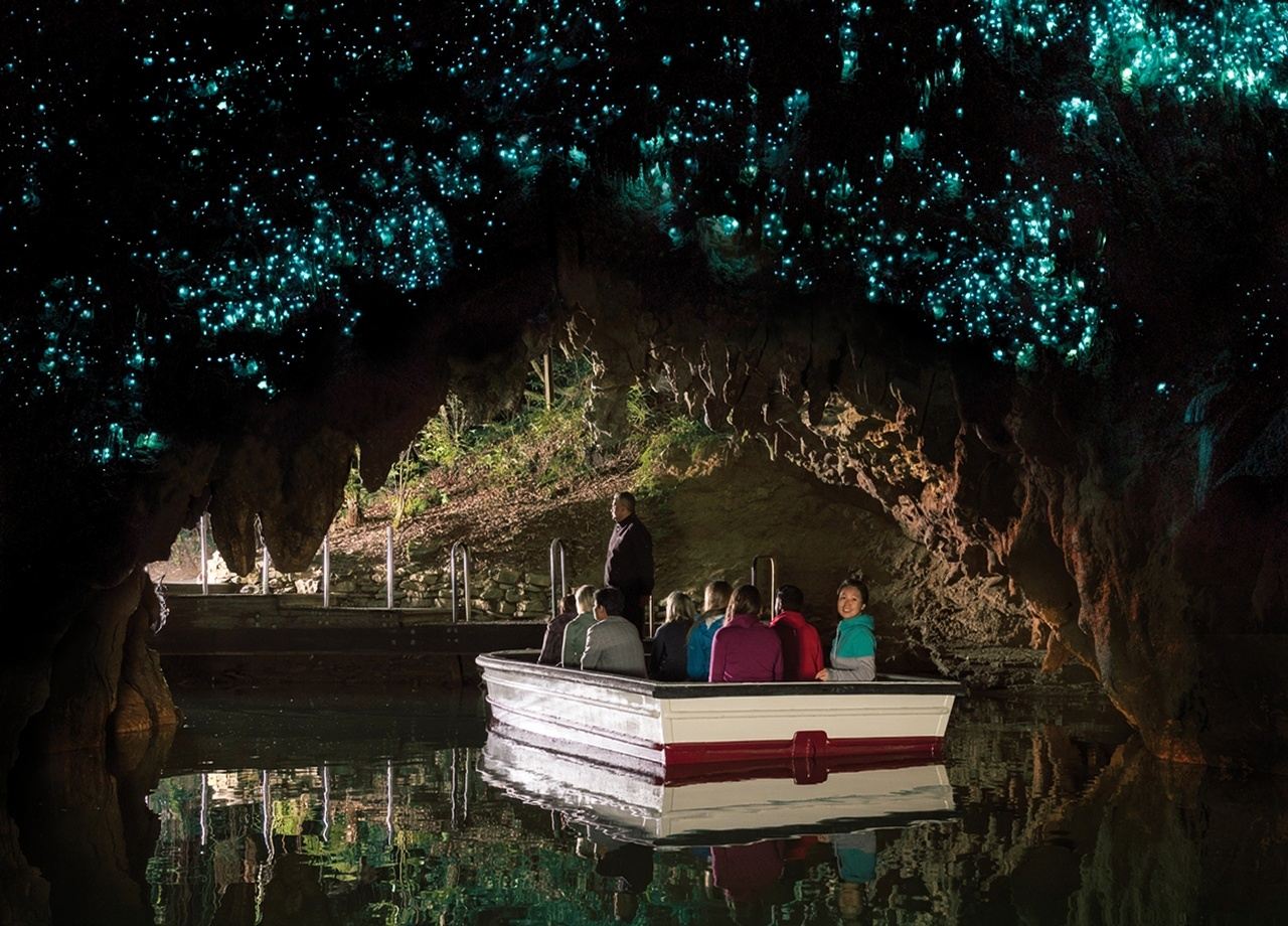 紐西蘭奧克蘭+霍比特村+懷託摩螢火蟲洞一日遊