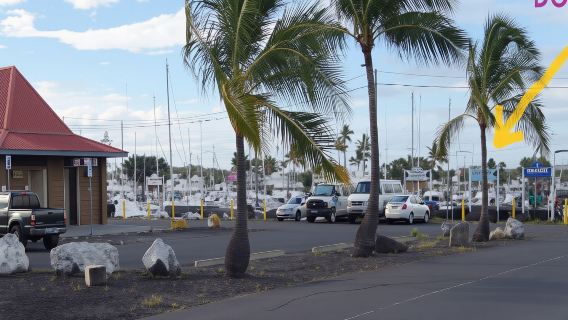 アメリカ・ビッグアイランド(ハワイ島)で体験する3時間のダイビング&シュノーケリング【ホノコハウビーチで夜のマンタシュノーケリング7863】