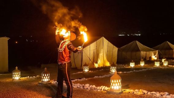 Desert D'Agafay Package - Quad, Dromedary and Dinner Show