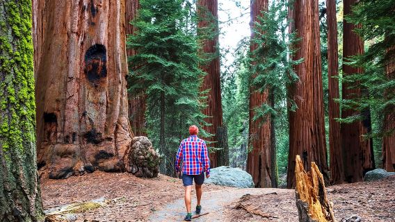 San FranciscoTours