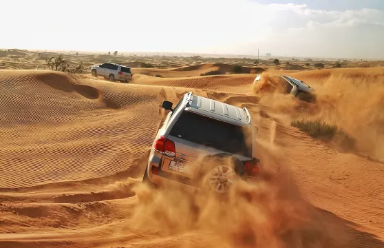 RAK沙漠狩獵之旅及燒烤晚餐（包RAK接送）