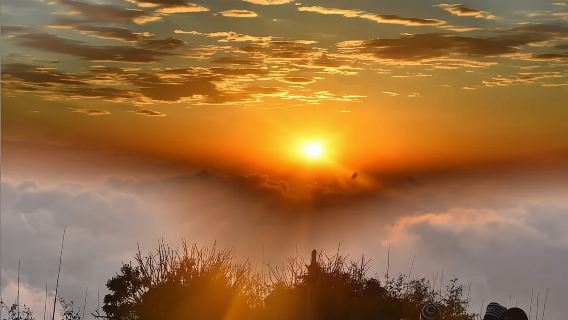 Private Morning Excursion Tour To Tiger Hill (3 Points) With Pickup and Drop