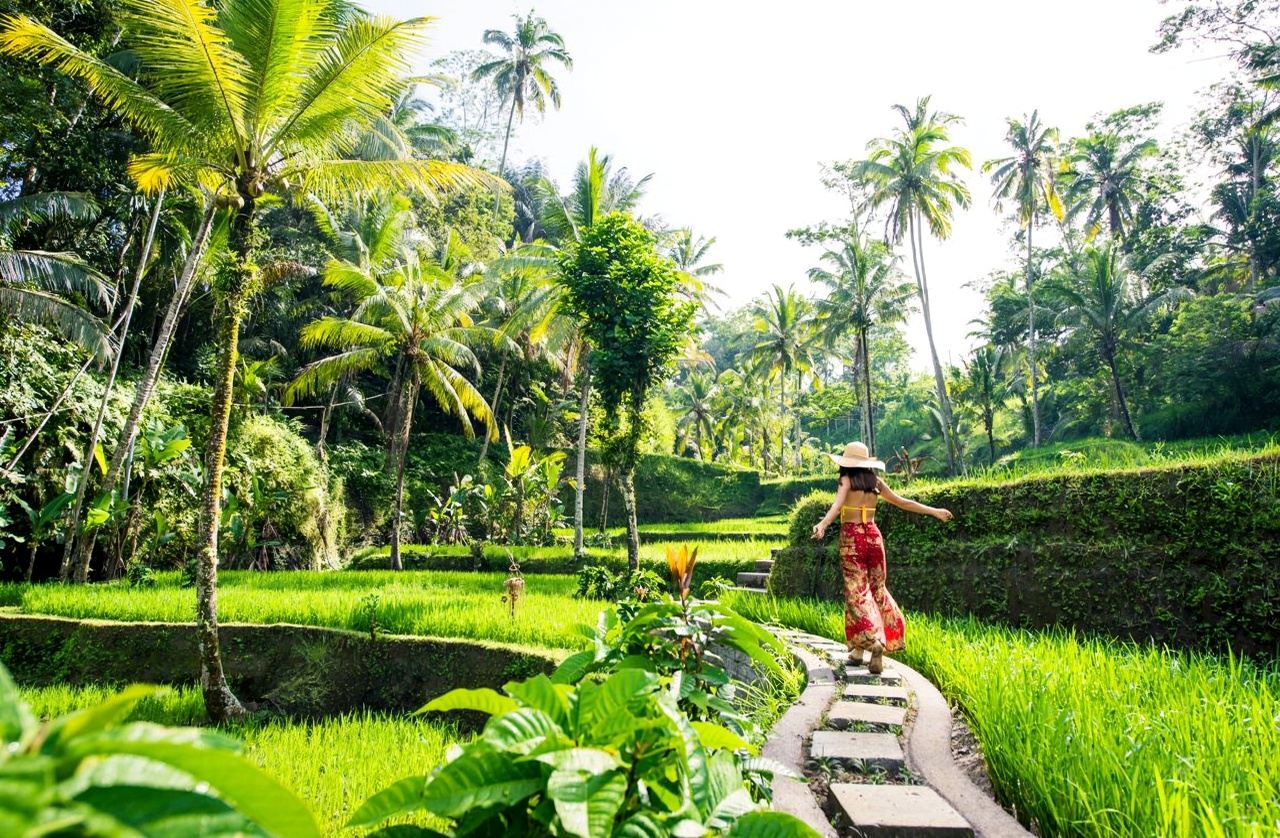 Ubud: All-Inclusive Tour with Optional Lunch - Private Tour Option