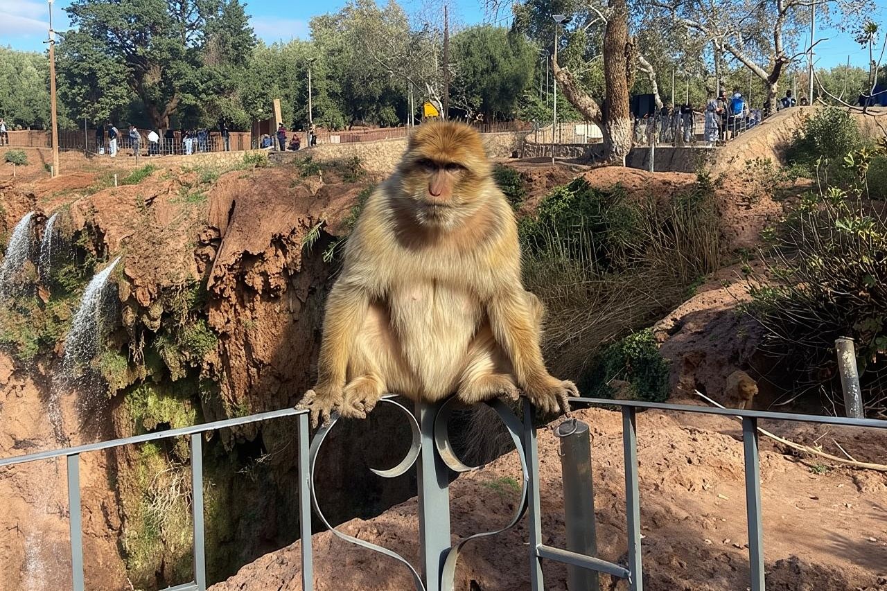 Tour di gruppo alle cascate di Ouzoud - Cascadas De Ouzoud - Viaggi a Ouzoud