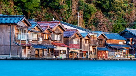 Kyoto, Japan Amanohashidate + Ine Funaya one-day tour: 9-person Small Group + Seagull Feeding + cable car