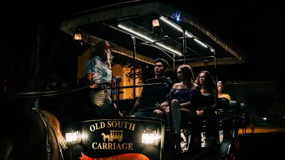 Haunted Evening Horse and Carriage Tour of Charleston