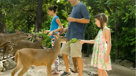 Croco Cun Zoo: Fast Track Ticket