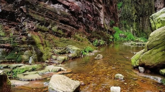 洛陽龍潭大峽谷一日遊◆限時免門票◆純玩無購物◆官方接駁車