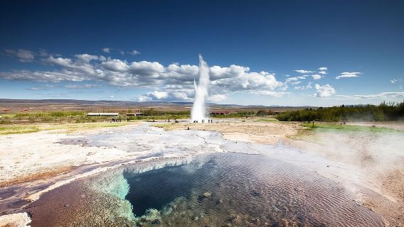 Golden Circle, Fridheimar Farm & Horses Small Group Tour from Reykjavik