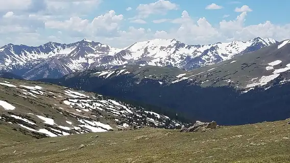 Rocky Mountain National Park in Summer Tour from Denver