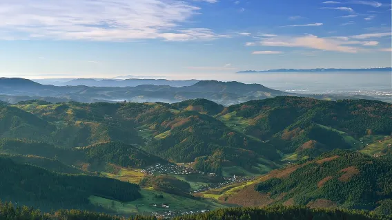 Tagesausflug in den Schwarzwald