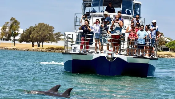 Κρουαζιέρα με Δελφίνια και Προβολές στο Mandurah