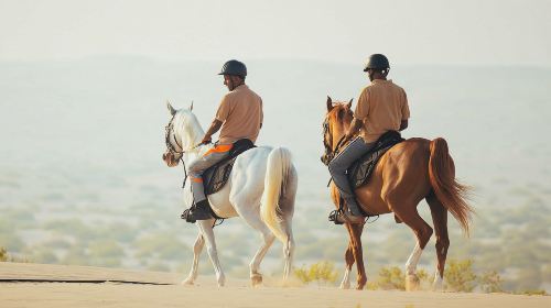 Abu Dhabi Horse Riding Experience 4