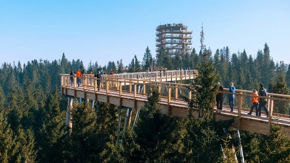 From Kraków: Slovakia Treetop Walk and Thermal Baths