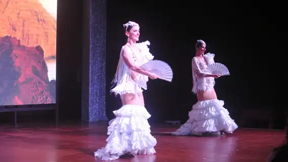 Tenerife: Flamenco Performance at Teatro Coliseo