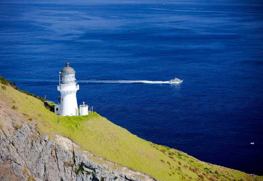 Paihia/Russell: Hole in the Rock, Dolphins & Island Cruise