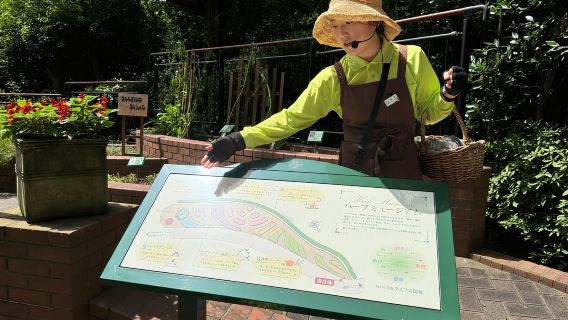 Kobe: visita guidata alle cascate di Nunobiki e al giardino delle erbe aromatiche