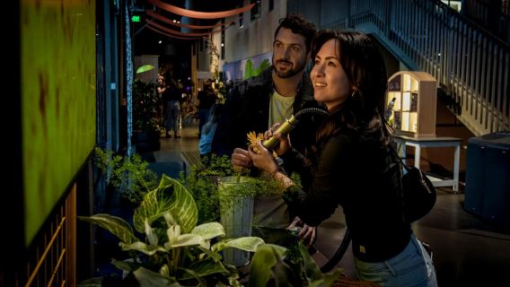 Exploratorium ซานฟรานซิสโก: เข้าชมได้เฉพาะผู้ใหญ่หลังมืดค่ำ