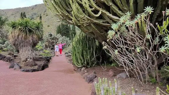 Las Palmas: Botanic Garden Tour (Option Bandama Upgrade)