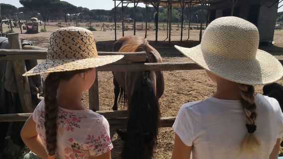 Pferdeschutzgebiet in Rom