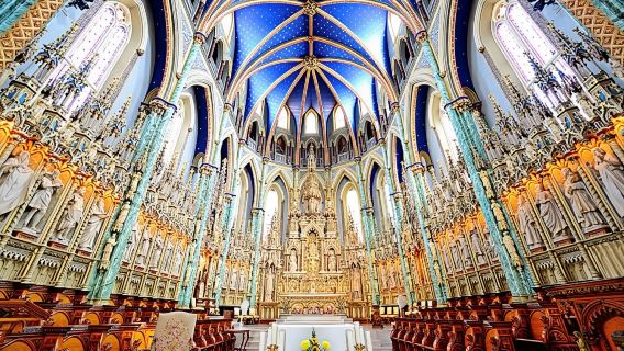 Tagesausflug zur Notre-Dame-Kathedrale, Parlamentsgebäude und Naturmuseum in Ottawa, Kanada