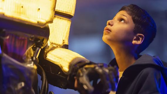 Halve dagtour door Vita Studios in Wellington, Nieuw-Zeeland|groepstour met samengestelde individuele reizigers