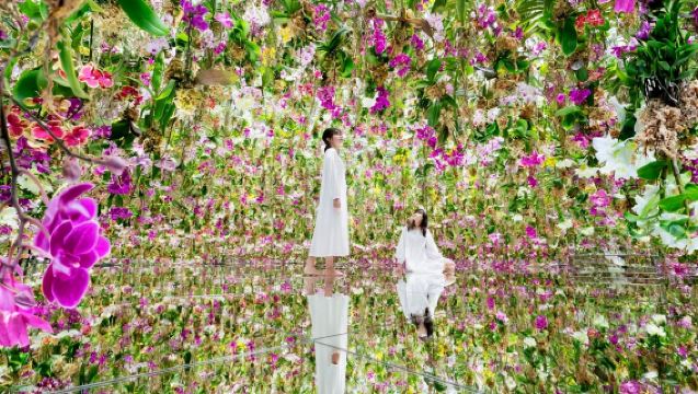 teamLab Planets TOKYO DMM Interactive Museum Admission Ticket + Tokyo Subway 24-hour Pass Combo Deal