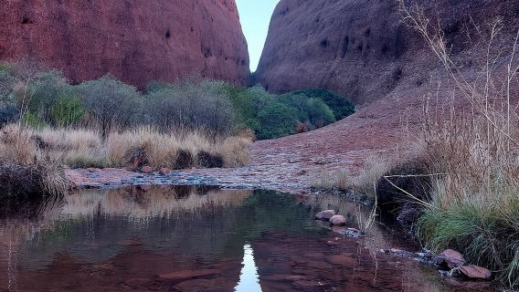 Uluru Sunrise (Ayers Rock) and Kata Tjuta Half Day Trip
