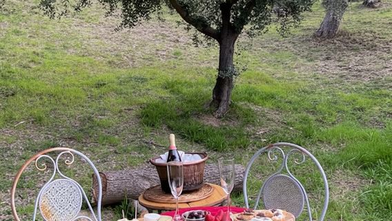Matera: Aperitivo con Tartufi e Champagne sotto l'ulivo