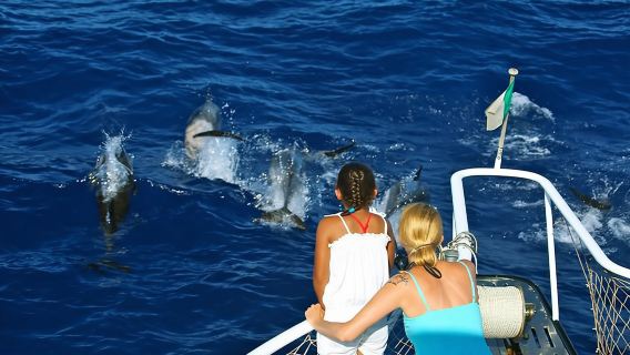 Waitukubuli Dolphin and Whale Watch in Dominica