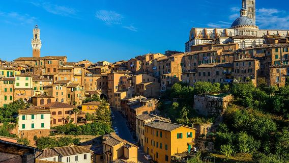 Skip the Line: Siena Duomo and City Walking Tour