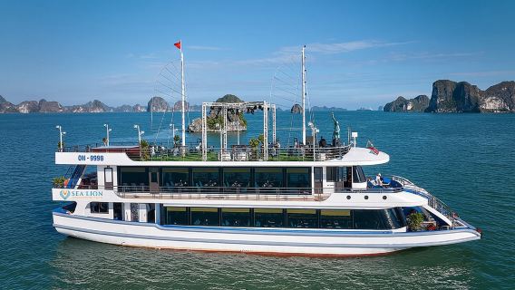 Crociera di un giorno di lusso a 5 stelle a Halong con leone marino, pranzo a buffet e navetta