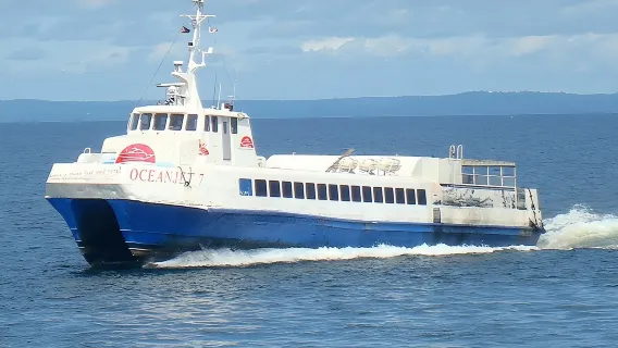 Tickets de bateau aux Philippines : Cebu/Bohol/Carapan/Batangas/Bacolod/Iloilo/Ormoc et autres villes - Multiples itinéraires|Classe économique/Classe affaires
