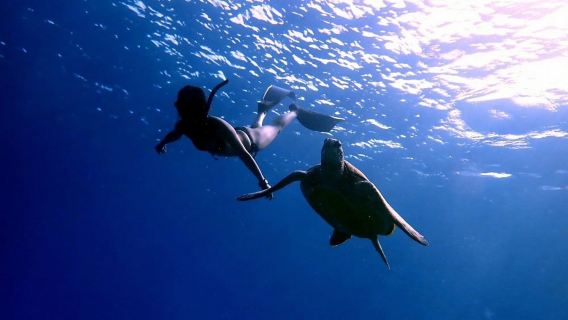 Liuqiu Island Scuba Diving and Snorkeling Experience in Pingtung for 1 hour