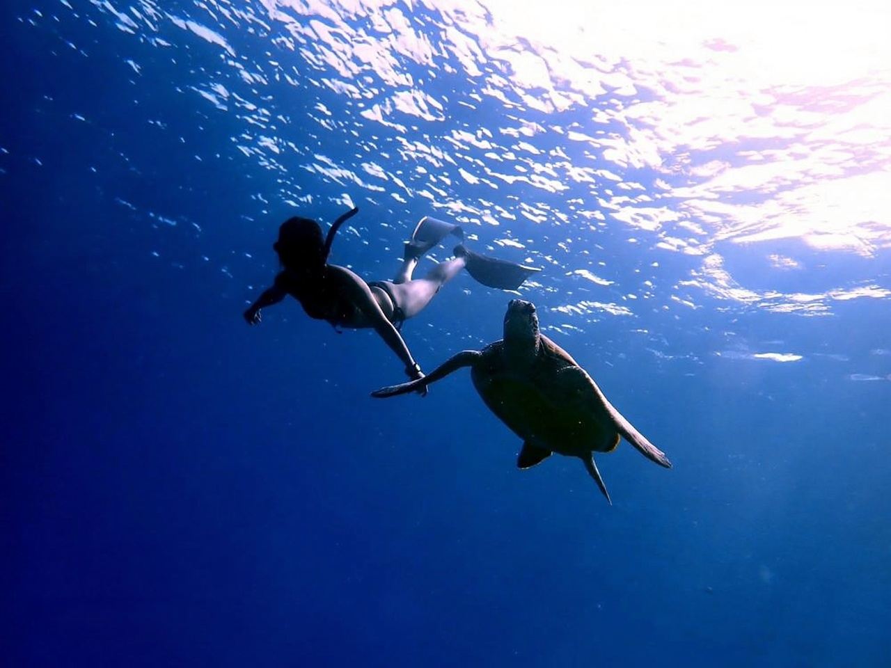 Liuqiu Island Scuba Diving and Snorkeling Experience in Pingtung for 1 hour