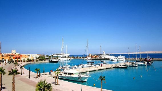 埃及紅海出海 追海豚浮潛/深潛/埃爾古納小鎮/橘島/午餐接送