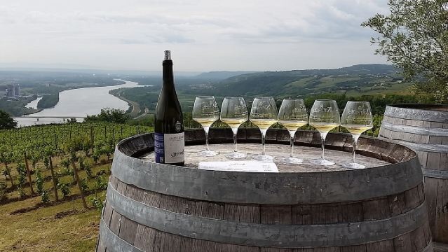 Rhône Valley Wine Tasting Private Day Tour from Lyon