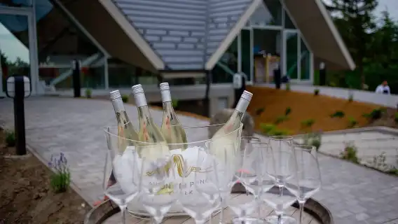 Half-Day Countryside Wine Tour from Budapest