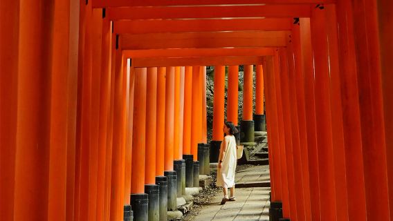 A day trip to Osaka, Kyoto, Nara Park, Arashiyama, and Fushimi Inari Shrine in Japan.
