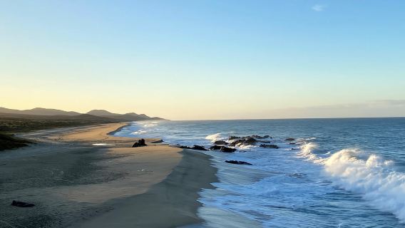 - From La Paz to Los Cabos: A Private Tour at Your Own Pace".