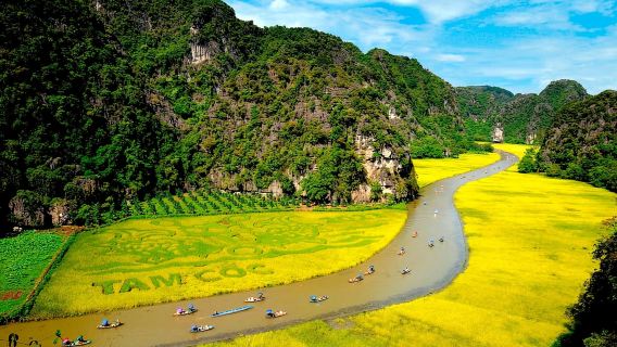 Phong Nha/Dong Hoi: Private Car Transfer to Ninh Binh