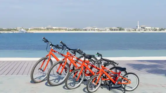 杜拜：適合家庭的自行車探險