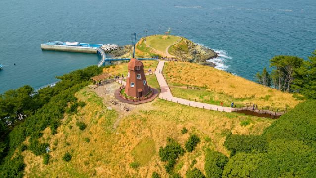 From Busan: Enchanting Oedo Island Day Tour with Windy Hill