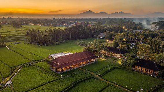 Ubud: baile Kecak y cena real balinesa