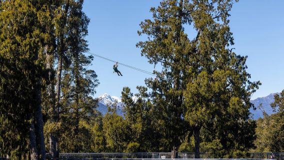 Hokitika: Vé vào cửa Đường đi bộ trên ngọn cây Bờ Tây