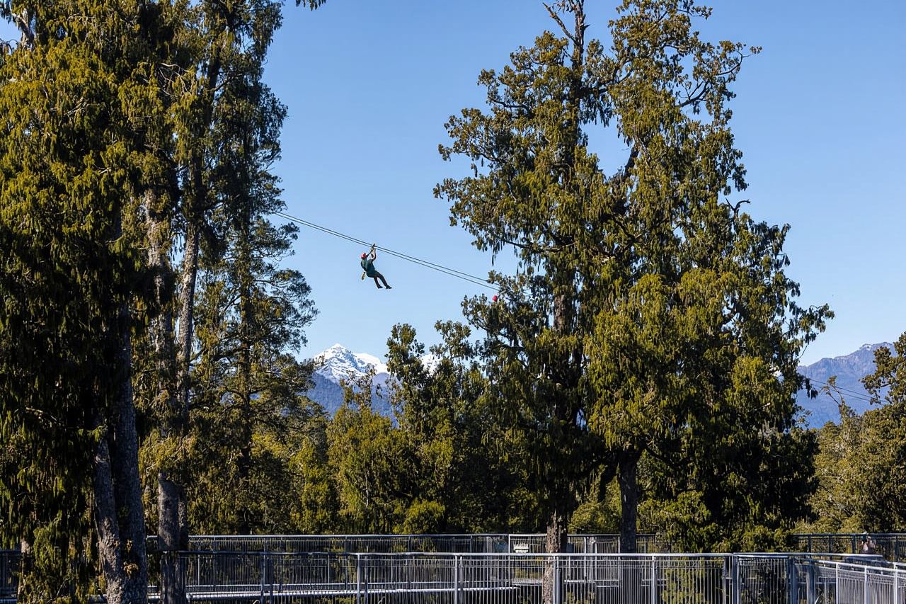 Hokitika: Eintrittskarte für den Baumwipfelpfad an der Westküste