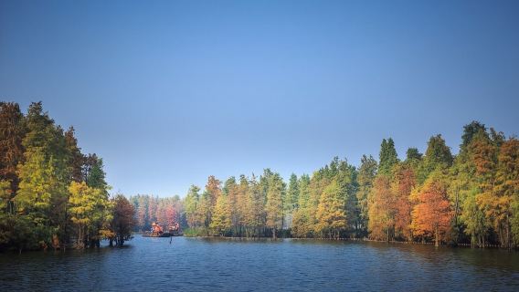 Parco delle Zone Umide del Lago Sud di Suzhou in Cina + Parco Divertimenti Dongwu + Attività per Famiglie (servizio in inglese disponibile su richiesta)